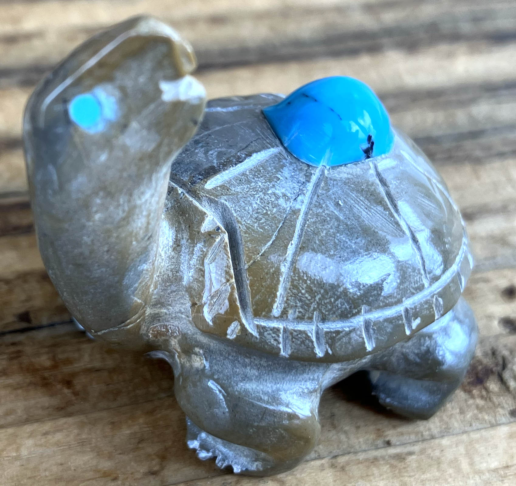 Freddie Leekya | Zuni Turtle Fetish | Penfield Gallery of Indian Arts | Albuquerque, New Mexico